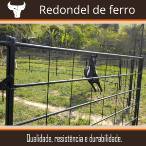 Redondel de ferro