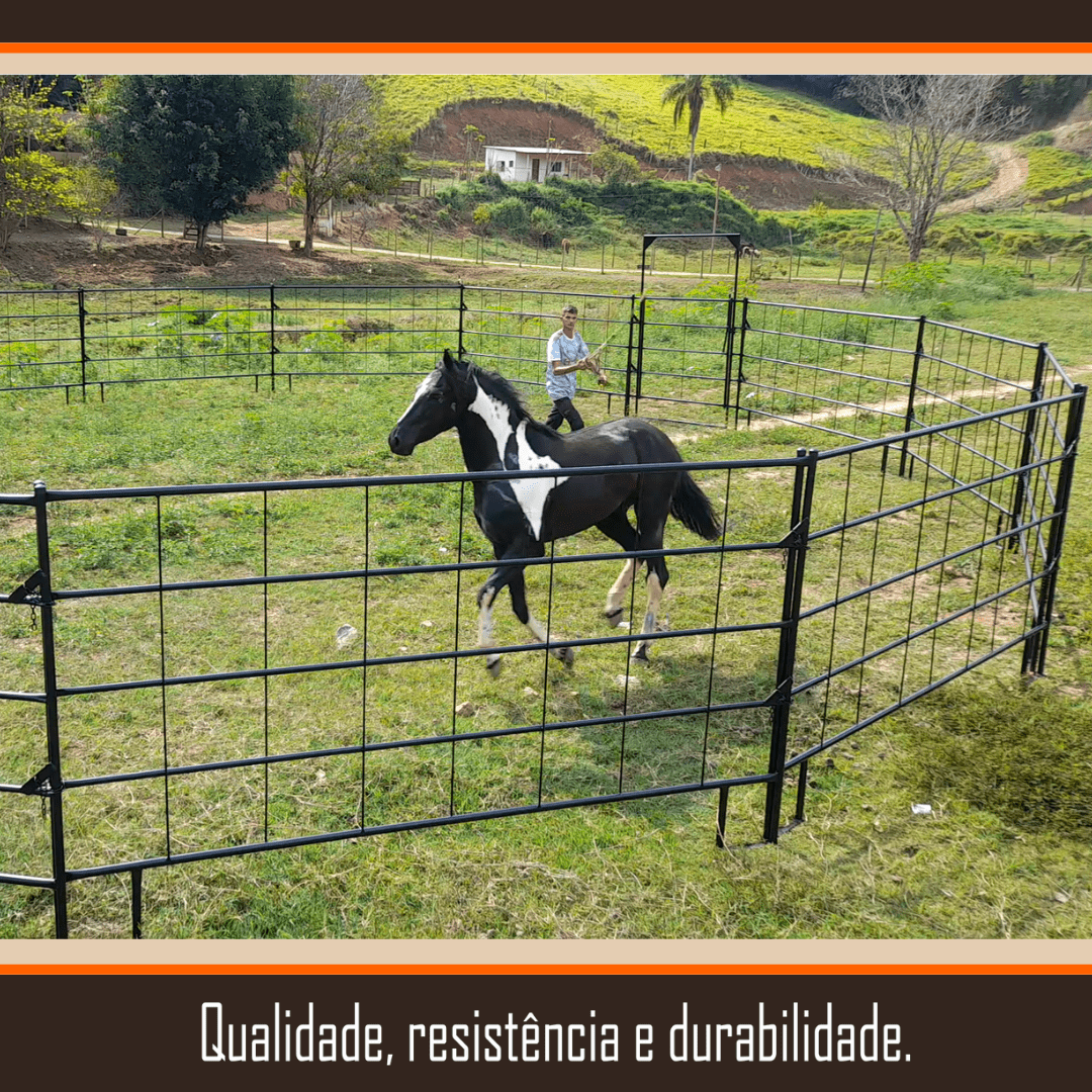REDONDEL DE FERRO